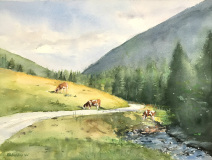 Steiermarki legelés